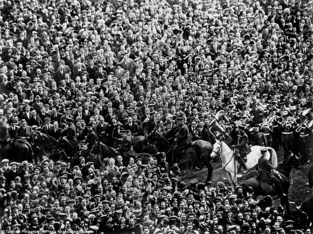 White horse in a crowd of people